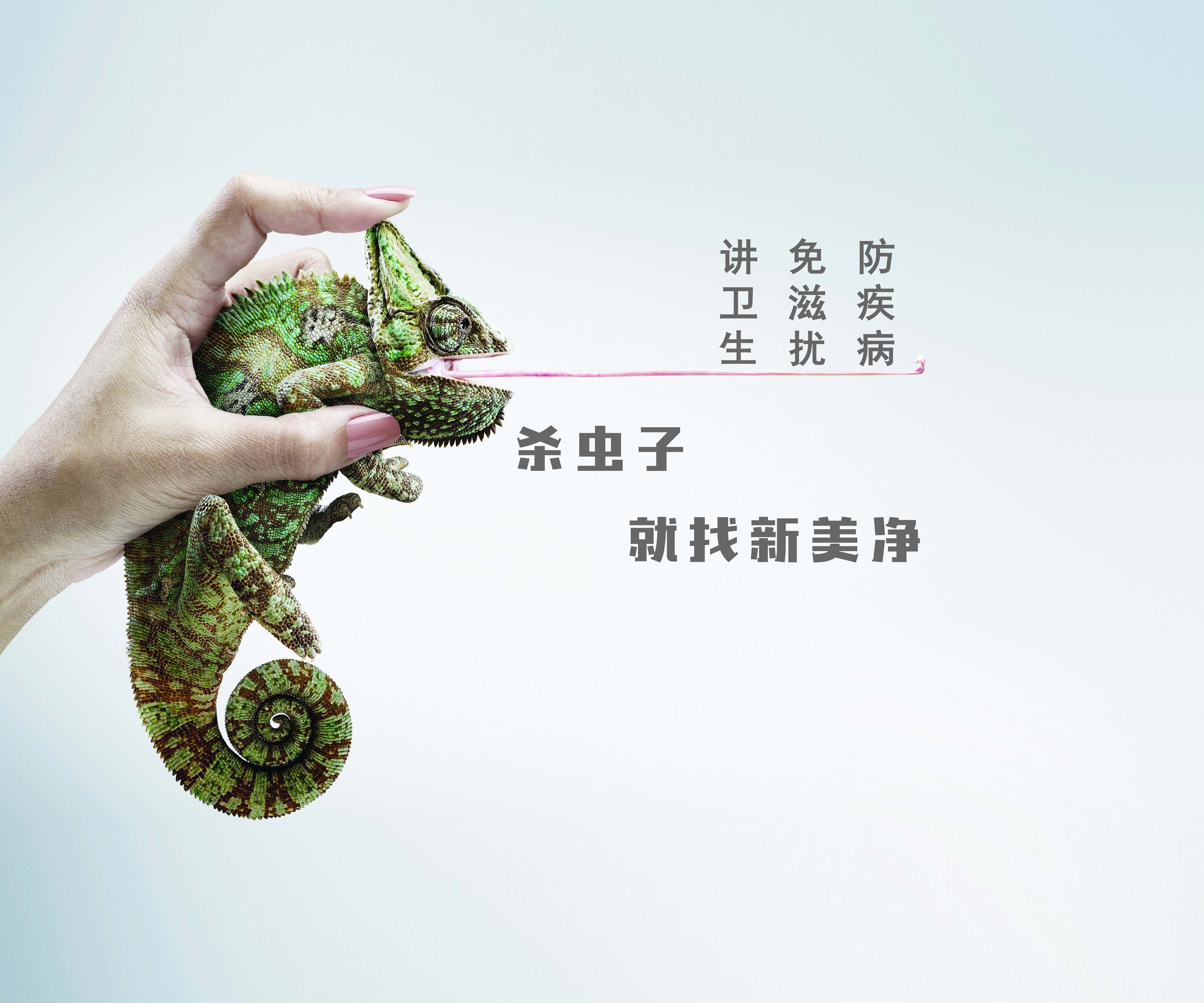 主營(yíng)項(xiàng)目